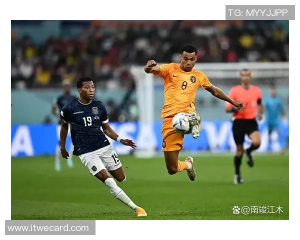 上海网球队在世界杯积分榜上以97分稳居第一名展现强劲实力